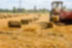 agricultural softwar