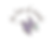 TLP_edited.png