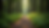 Close-up view of a calm forest path symbolizing healing and recovery