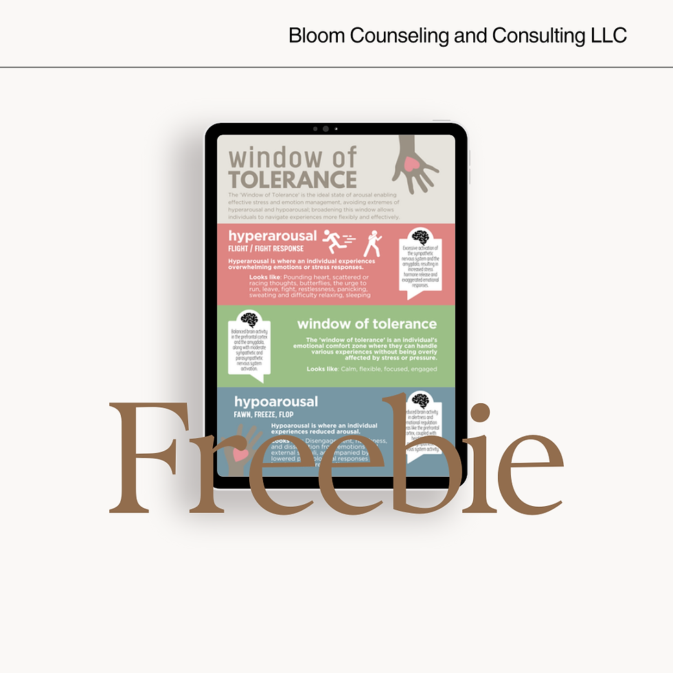 Window Of Tolerance Visual