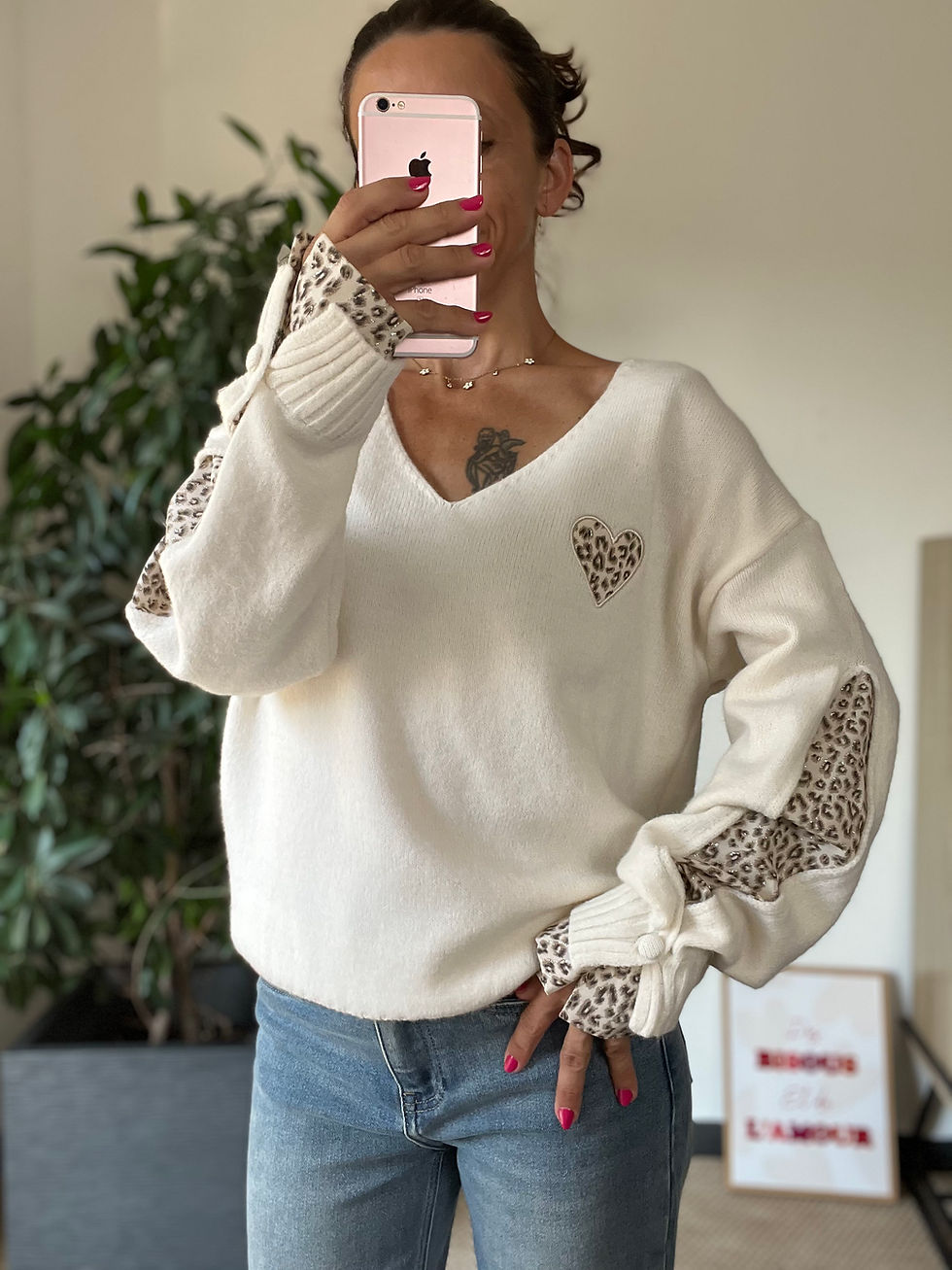 Miniature : Pull VERO