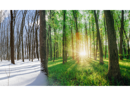 Reset Your Year: Using the Fresh Start Effect and the Scientific Method to Recoup Lost Time and Regain Momentum in 2026 and Beyond