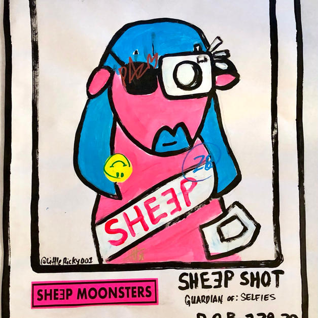 SHEEP SHOT