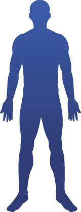 human body outline