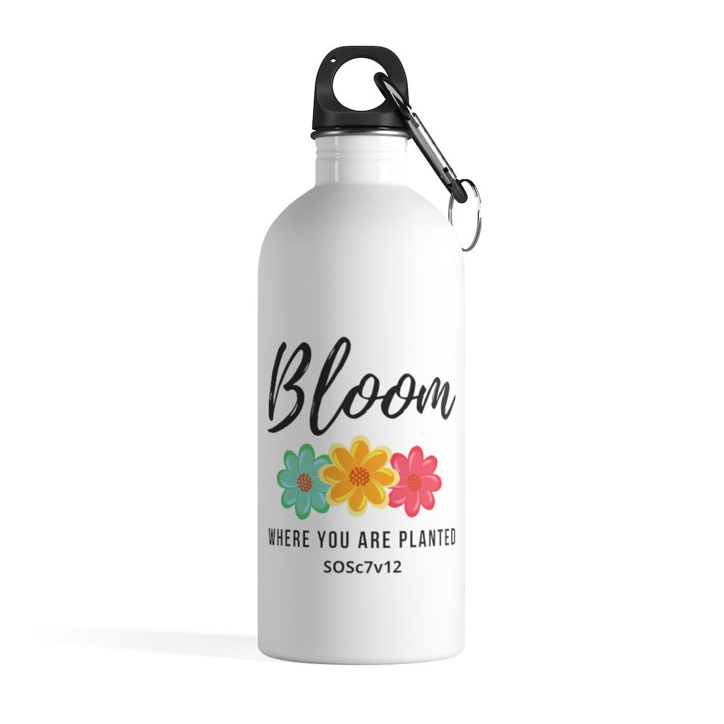 Stainless Steel Water Bottle