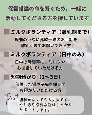 S__17047562.jpg