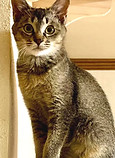 LINE_ALBUM_oichiogawa_241202_12_edited.j