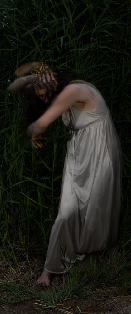 Ronny Aviram, Metamorphosis III, 158X66x0.5, Fine Art Print, 2021 - Copy