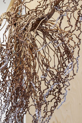 Ronny Aviram_Milk and Honey_Date branch_salt_iron_and _rope_2021_detail