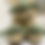 Thumbnail: Yoda Keychains 