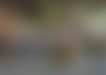 3 Ways The Reef Cannabis Gives Back 🍃