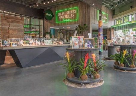 3 Ways The Reef Cannabis Gives Back 🍃