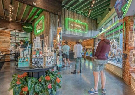 The Reef’s “Green Wednesday” Recommendations for a Chillaxed Thanksgiving