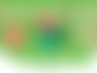 10 Gift Ideas for the Holidaze from The Reef