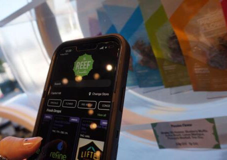 High Tech, Weed Like to Share Another First With You 🌱