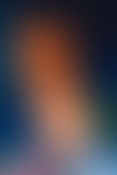 Dinosaurs in the Zoo?