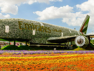 Abandoned Plane?