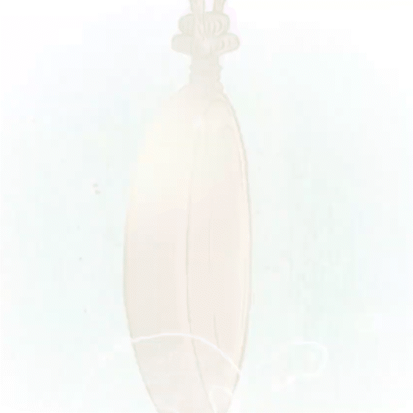 lampei.gif