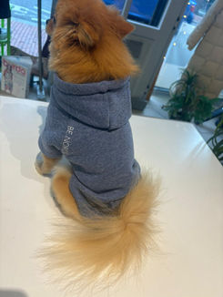 Retouches New Penelop Fashion