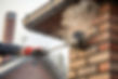 AdobeStock_1769437444.jpeg