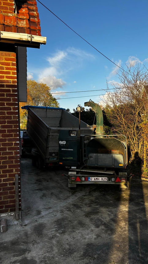bomen verwijderen 