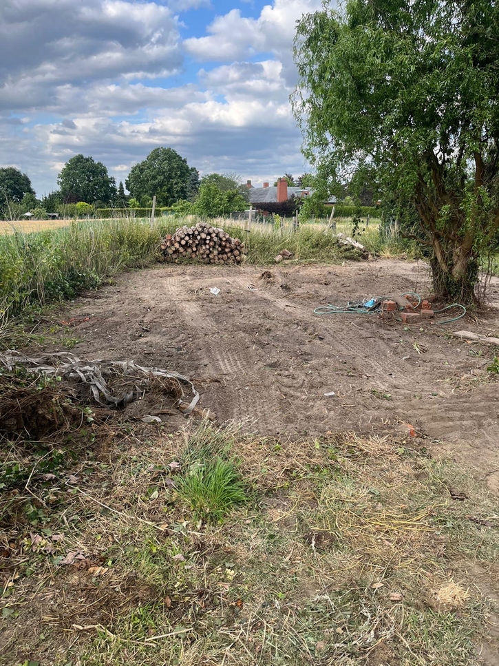 bomen verwijderen 