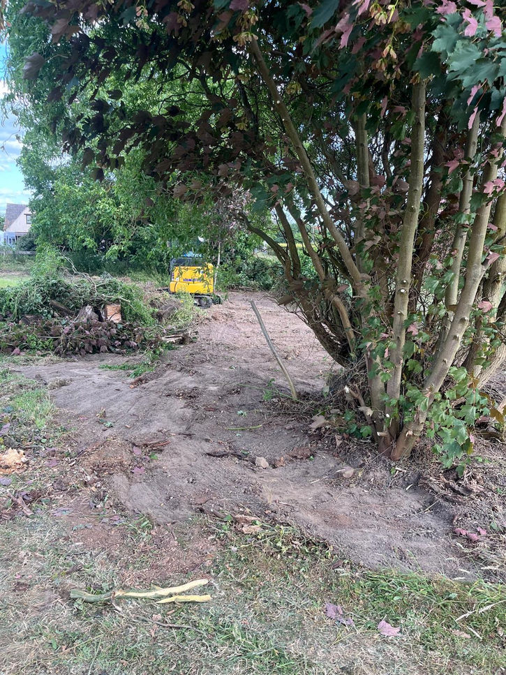 bomen verwijderen 