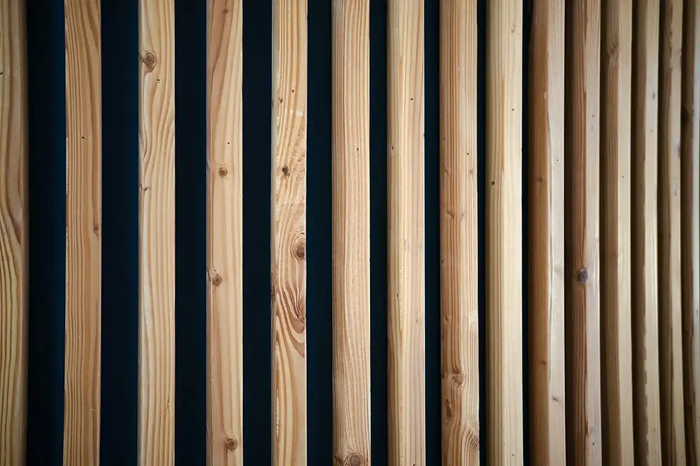 maksim-shutov-YpK65tUQipg-unsplash.webp