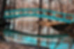 bridge.jpg
