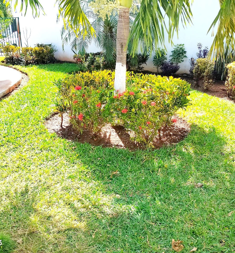 Imagen de WhatsApp 2024-04-12 a las 07_edited.jpg