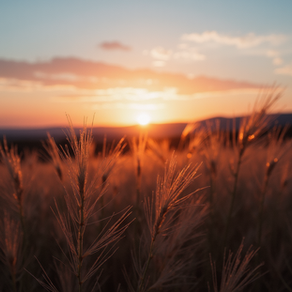 Alone doesn't mean I'm ready: Healing After Divorce Before Dating Again