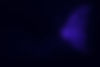 background_borboleta