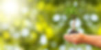Two Hands Formed Together holding a small growing tree