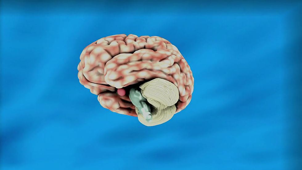Miniature : Taller de neurociencias y oratoria