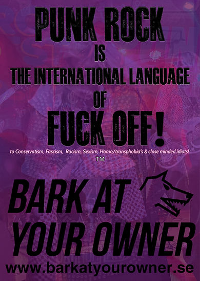 Punk rock the international language.jpg