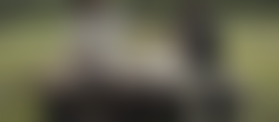 The Peanut Butter Falcon – film review