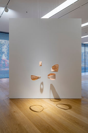 Gökcisimleri Üzerine, Arter