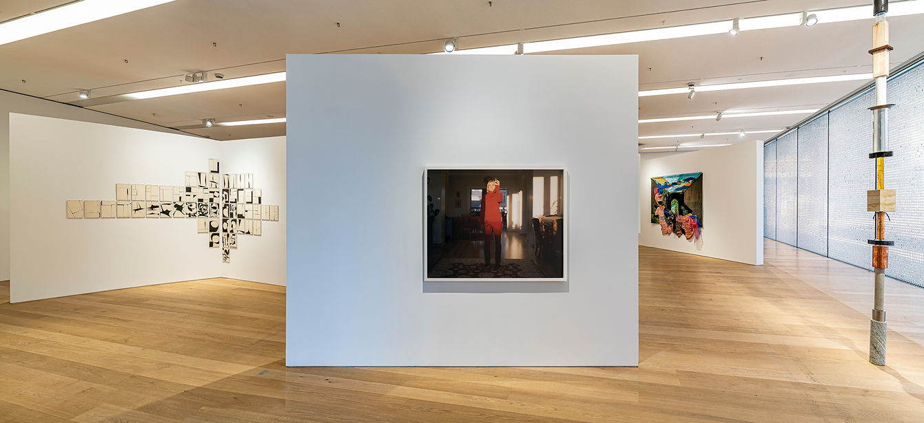 Gökcisimleri Üzerine, Arter