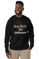 unisex-premium-sweatshirt-black-front-692119f987a0b.jpg