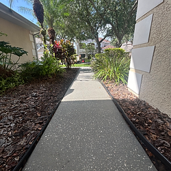 ALGAE REMOVAL ON WALKWAY IN WESLEY CHAPEL