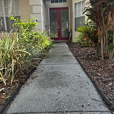 WALKWAY CLEANING WITH ALGEA REMOVAL