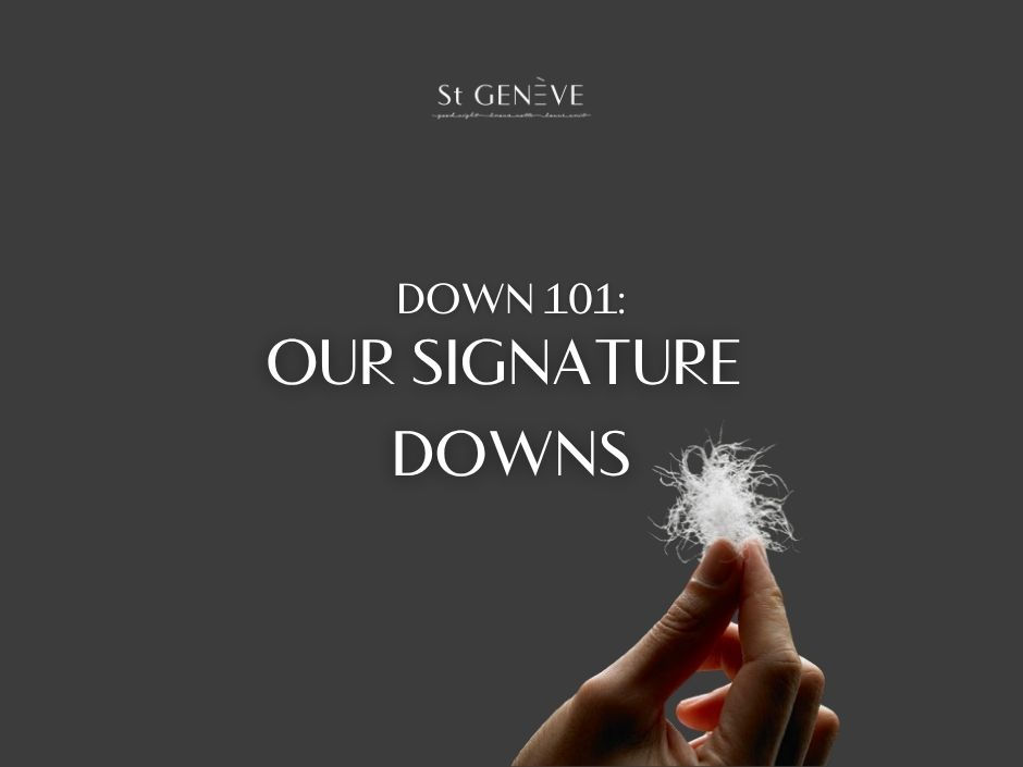 Down 101: Our Signature Downs