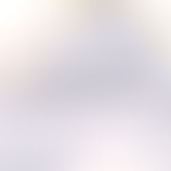 Why Reputation is Key in Choosing High-Quality Bedding