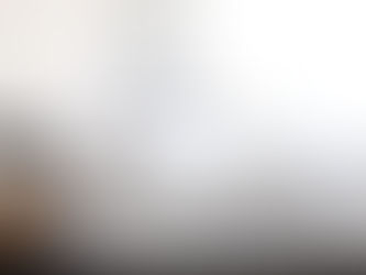 Allergy protectors keep dust mites out.