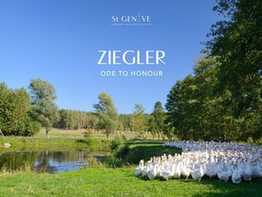 ZIEGLER: ODE TO HONOUR