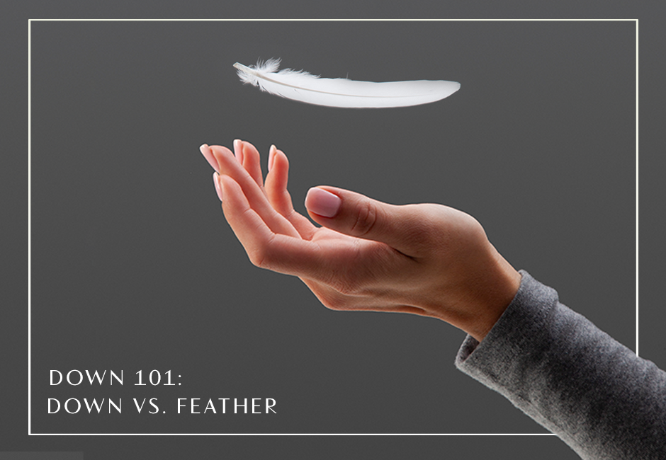 Down 101 Down vs. Feather