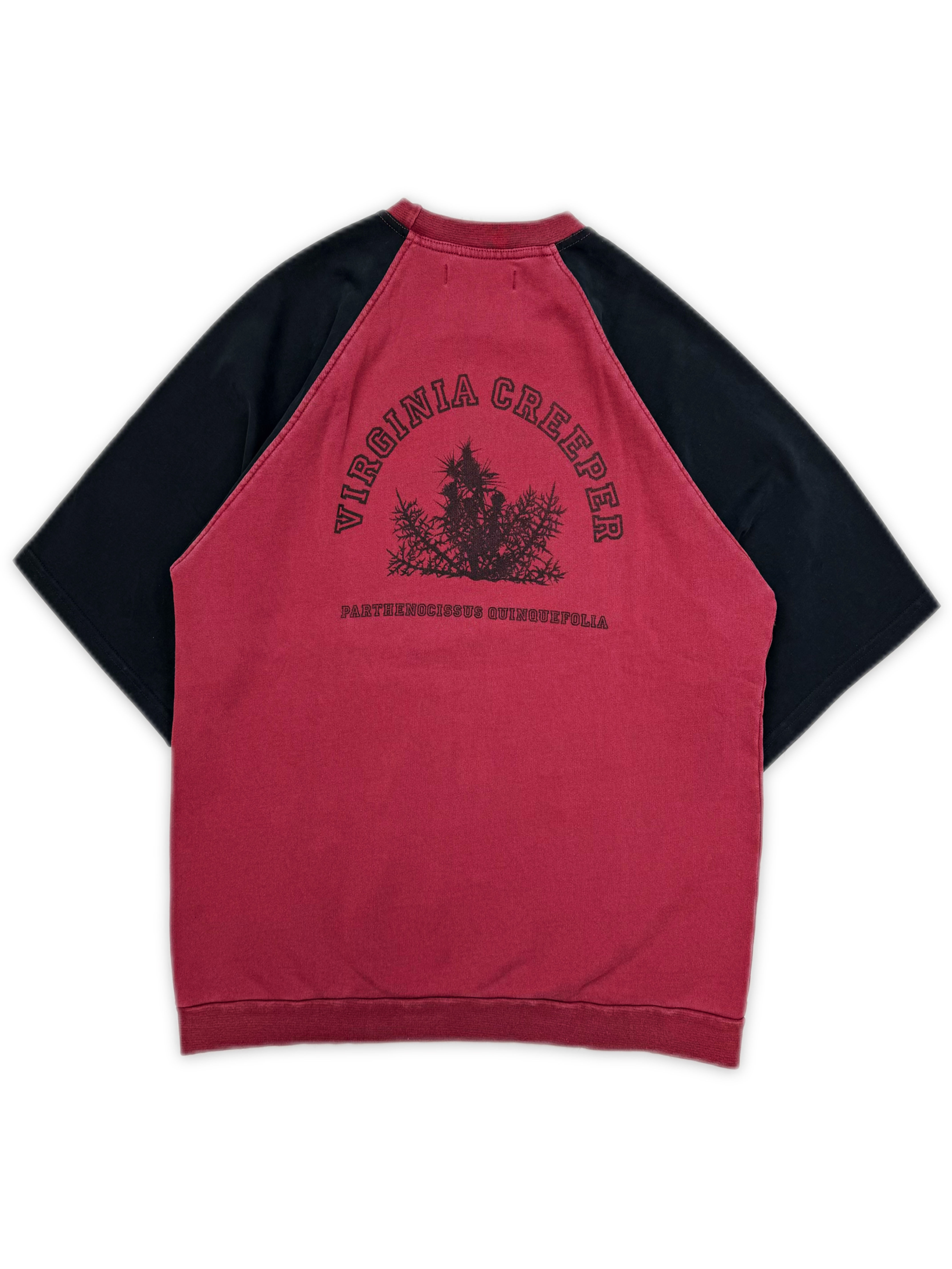 AW02 Raf Simons ‘Virginia Creeper’ Red Raglan T-Shirt