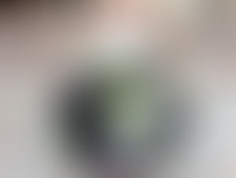 How Alexander McQueen Painted a Dress With Robots