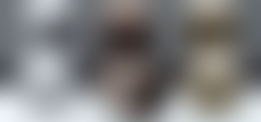 Custom-built configuration by the distributor for Valhalla Instruments. Aluminum base and brass comp