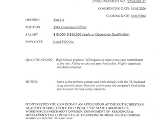 Job Vacancy Announcement in the Private Sector: Island VCO Inc.